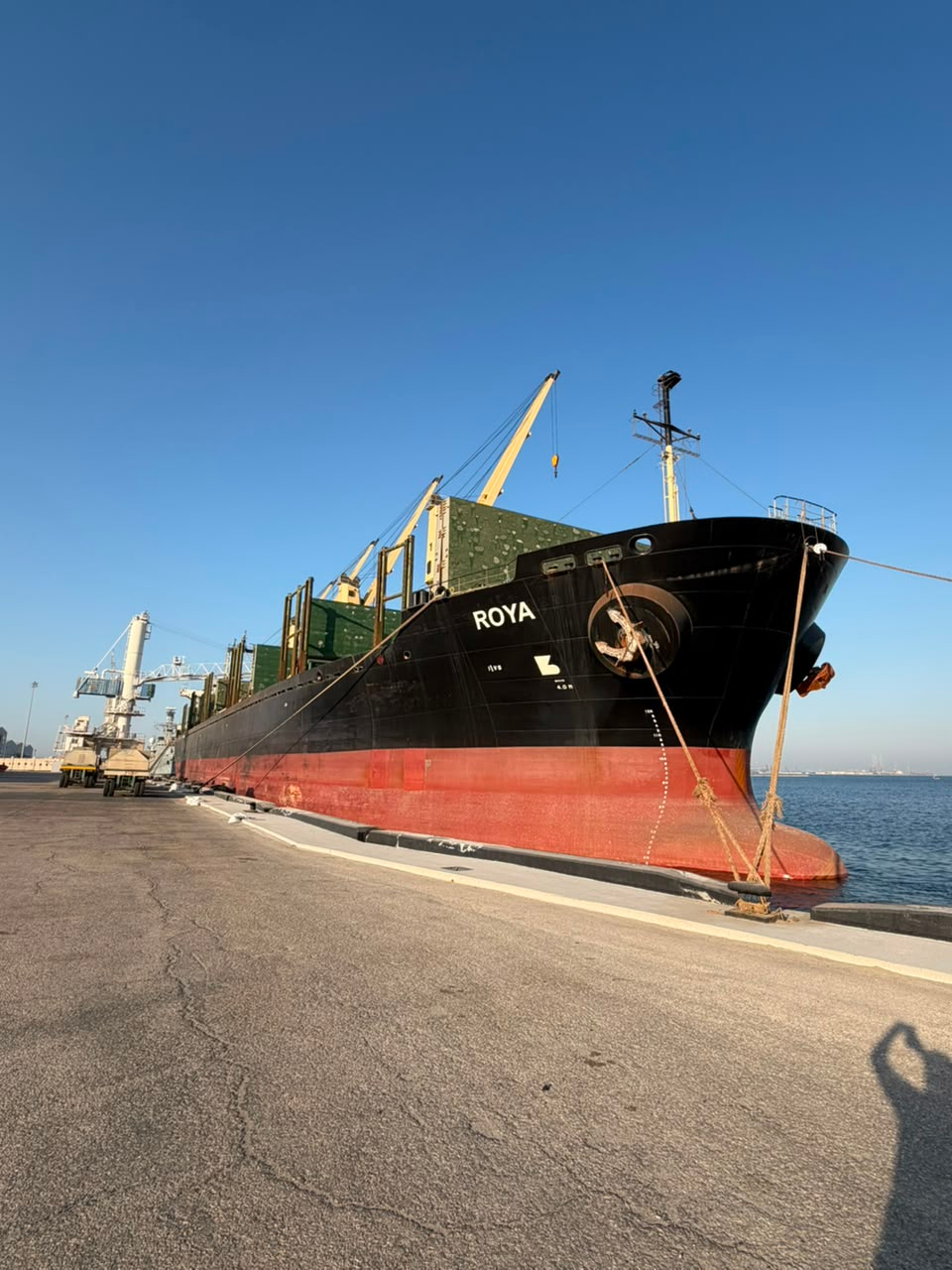 MV ROYA moored at berth with cranes